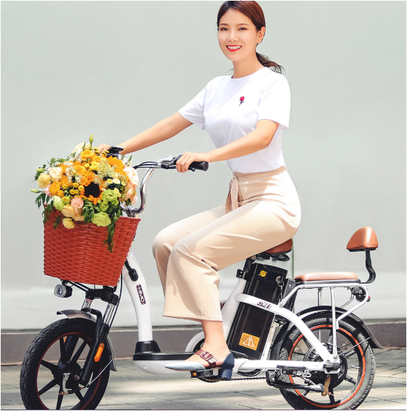 Himo C16 Electric MOPED Bicycle