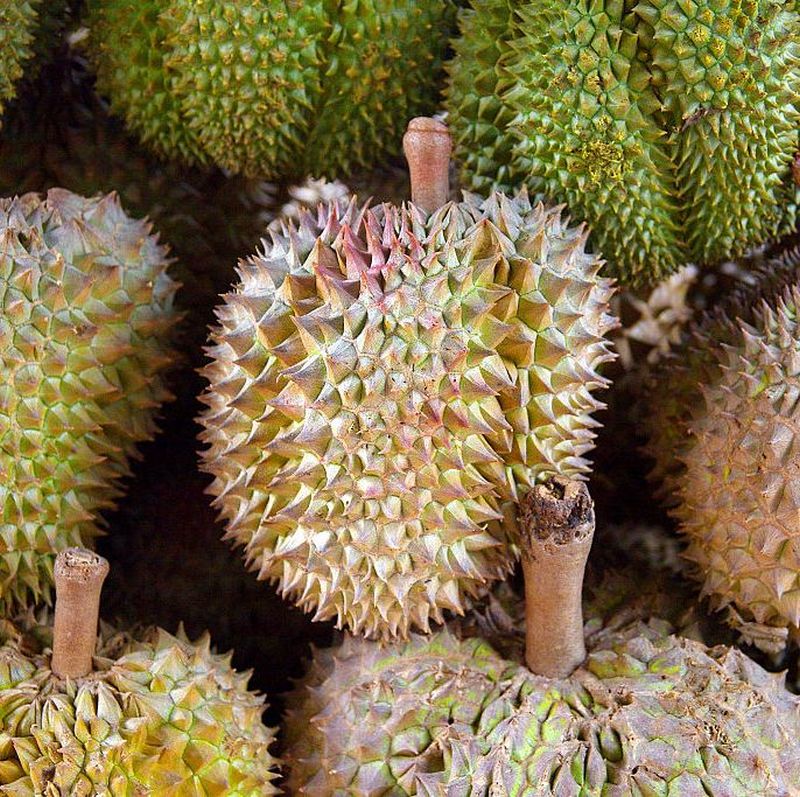 Ditt nästa mobiltelefonbatteri kan tillverkas av Durian 2