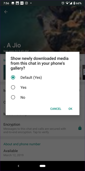 Gambar Whatsapp tidak menampilkan galeri di android iphone 7