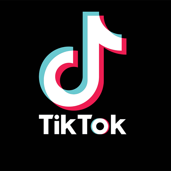 Como baixar vídeos do Tiktok: passo a passo