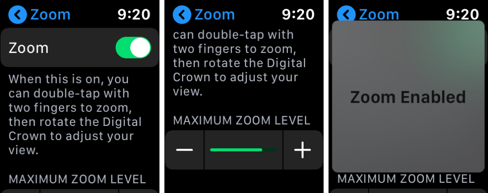 Pengaturan Zoom aktif Apple Watch