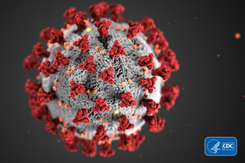 Anda dapat membantu penelitian coronavirus dengan melipat @ rumah