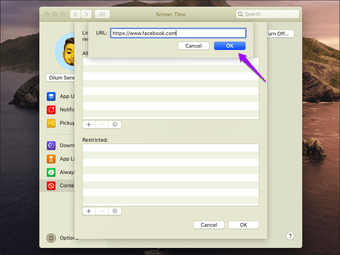 Safari Block Websites Screen Time Mac 7