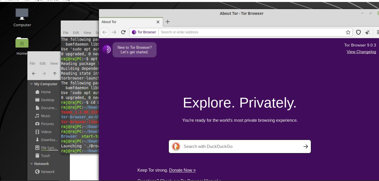 Tor browser установить на linux mint hidra
