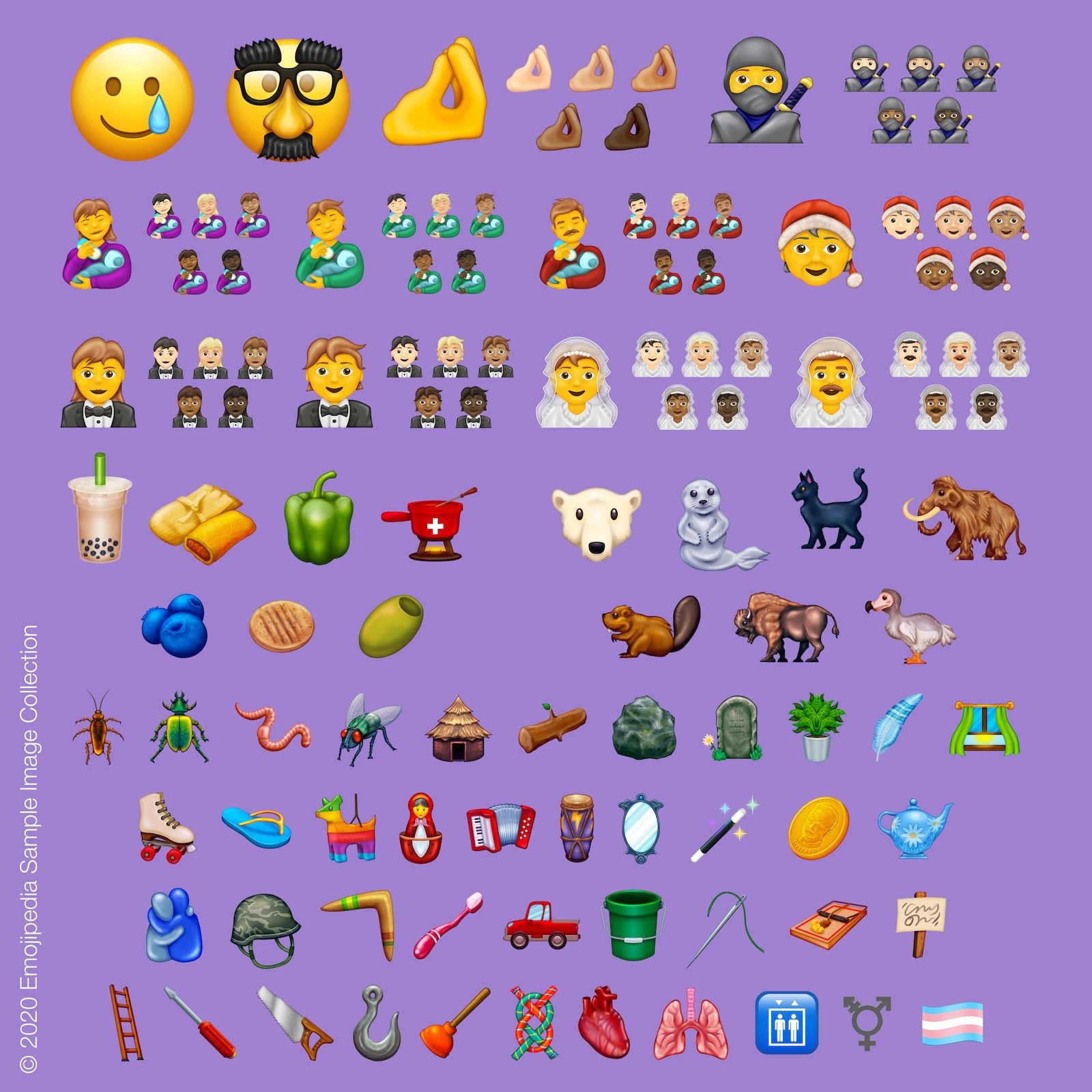 2020 Bộ sưu tập hình ảnh mẫu Emojipedia
