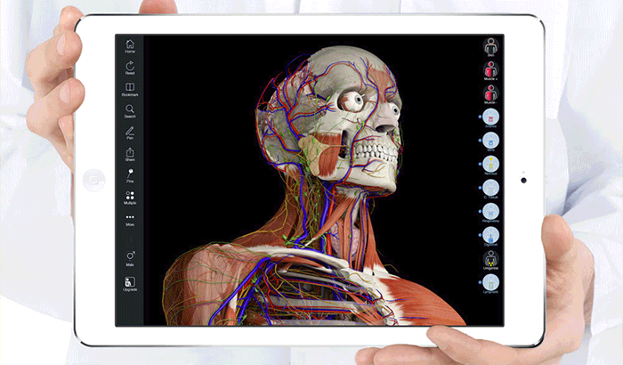 Giải phẫu cần thiết 5 Ảnh chụp màn hình ứng dụng iPad