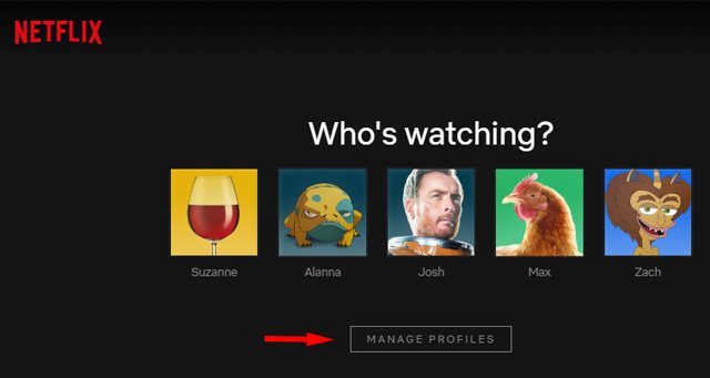 Lựa chọn hồ sơ Netflix