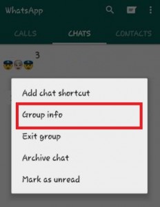 Nhấn vào thông tin nhóm trong nhóm WhatsApp