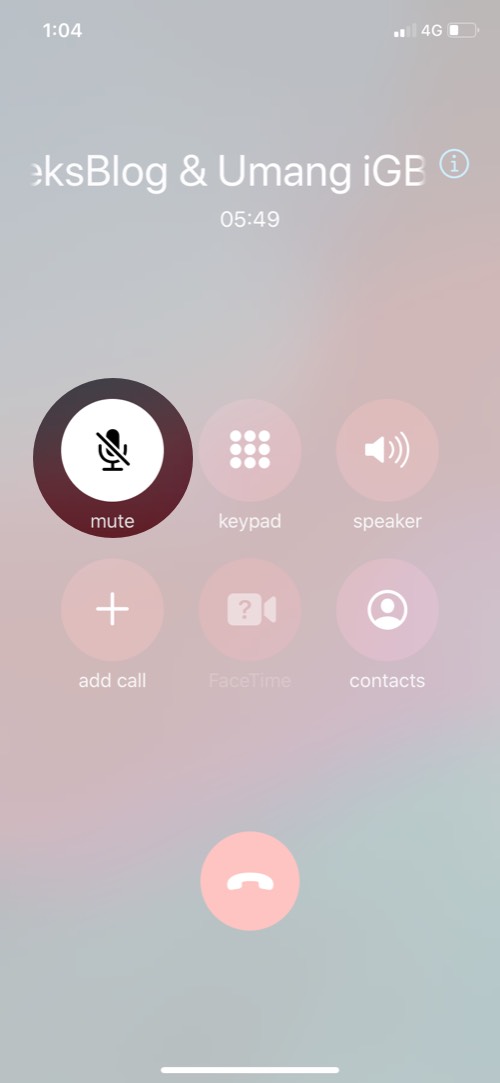 Chạm vào nút tắt tiếng trên màn hình cuộc gọi trên iPhone