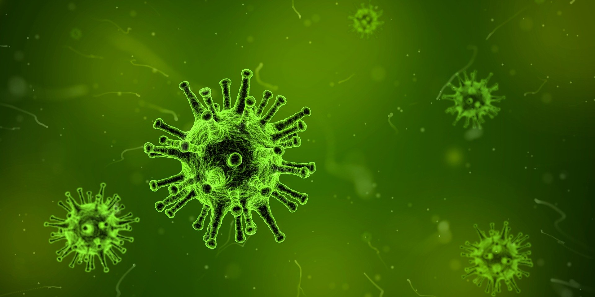 Ứng dụng iPhone để theo dõi sự bùng phát của coronavirus