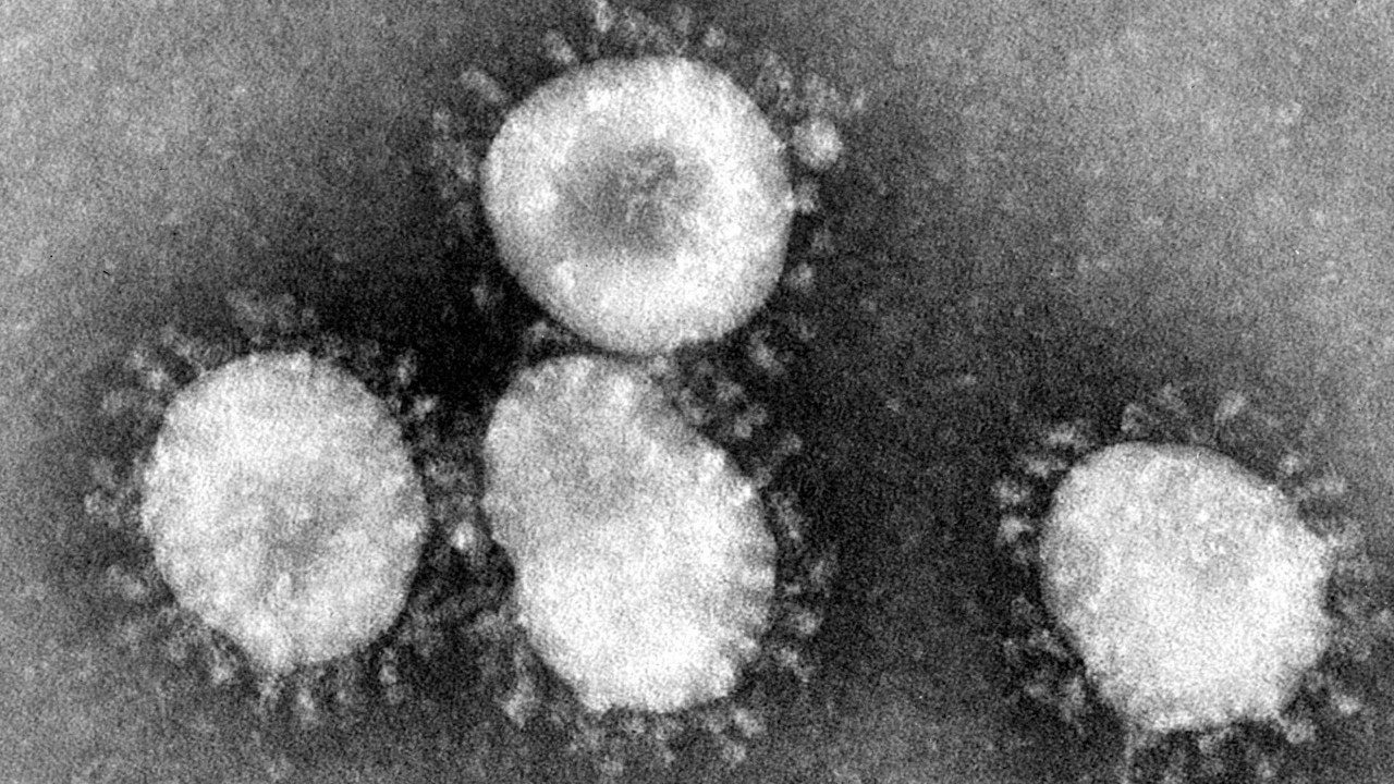 Coronavirus và nhu cầu tiếp cận công chúng vào các nghiên cứu khoa học