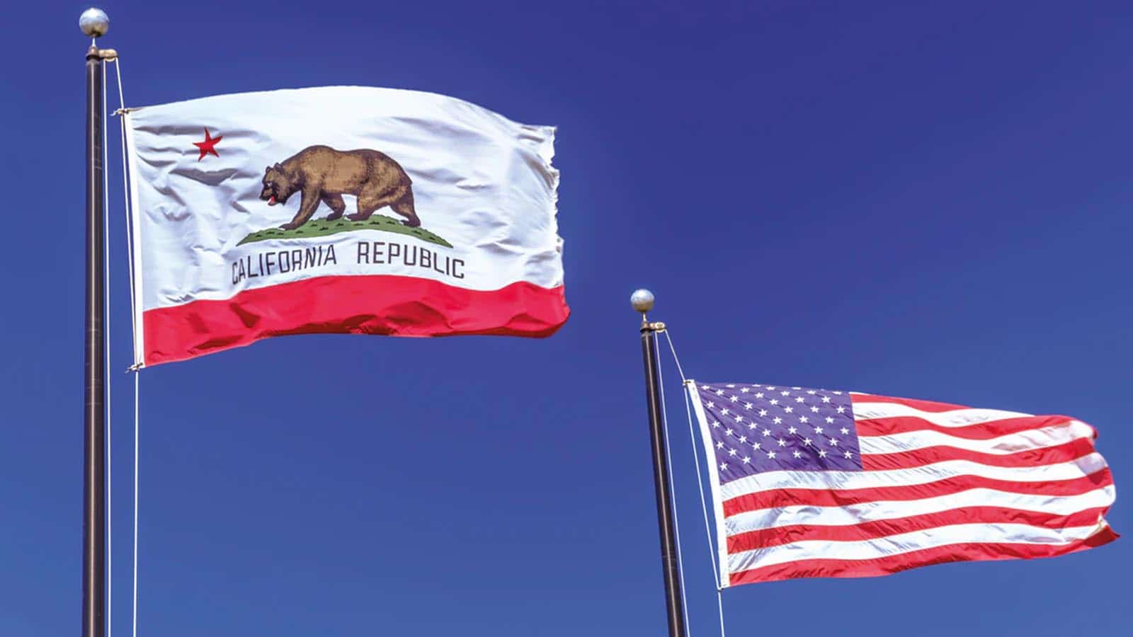 cờ california bên cạnh cờ Mỹ