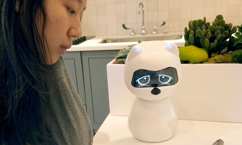 Kiki là một người bạn thân của robot phát triển theo sự tương tác của bạn