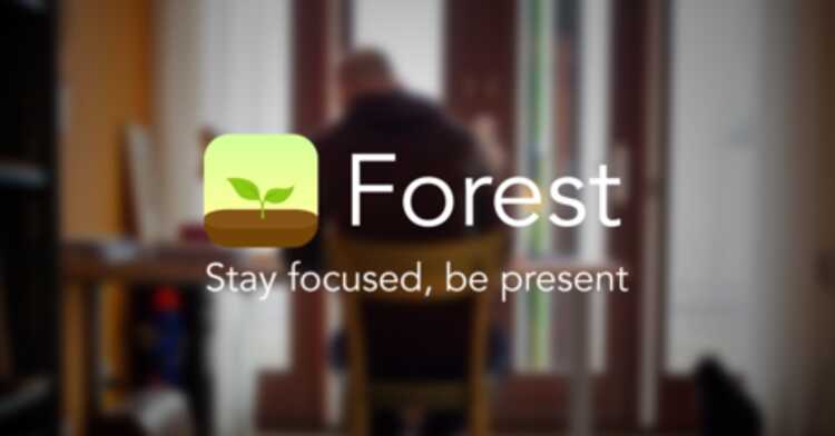 Ứng dụng Forest Free, ngắt kết nối với điện thoại di động của bạn và tăng năng suất của bạn