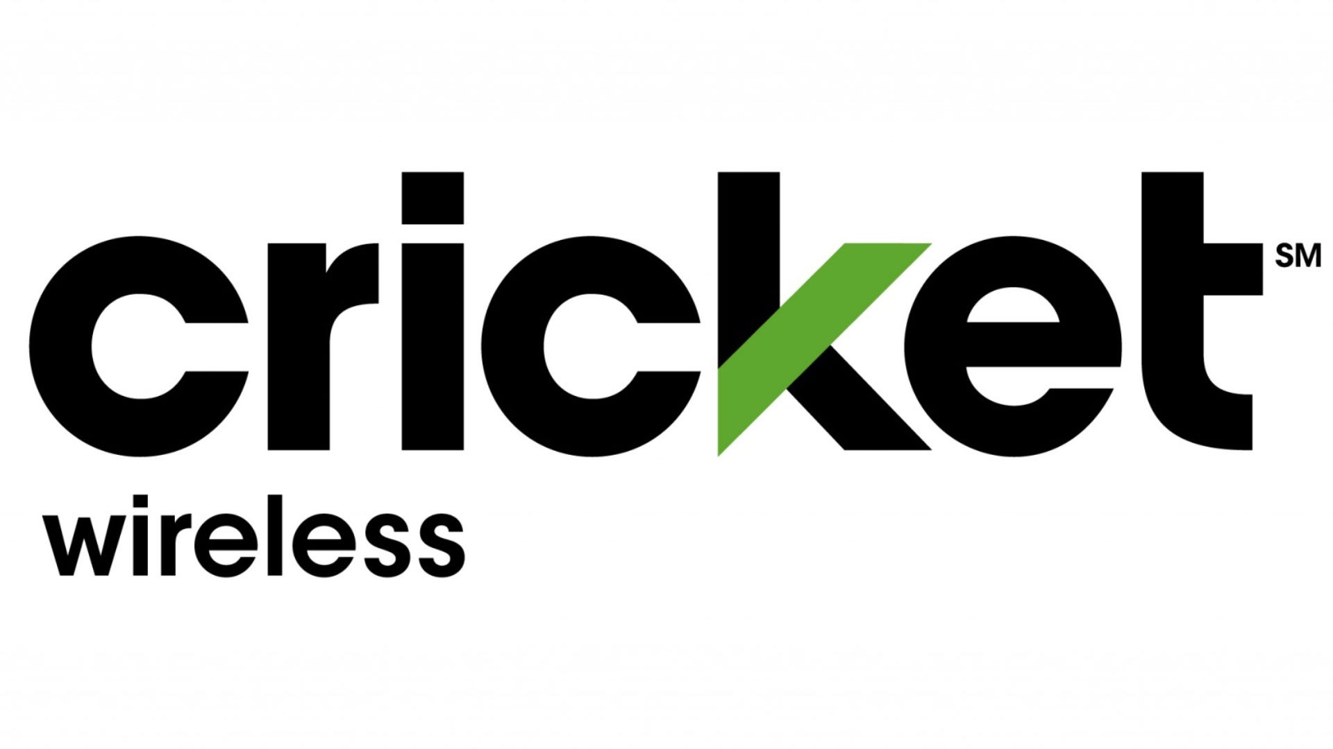 Logo cricket