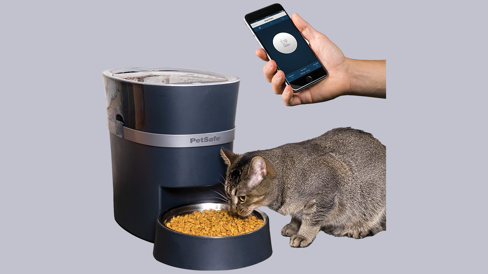 PetSafe Smart Feeder Pet Feeder với mèo đang ăn và bàn tay nổi đang cầm điện thoại thông minh có mở ứng dụng đồng hành