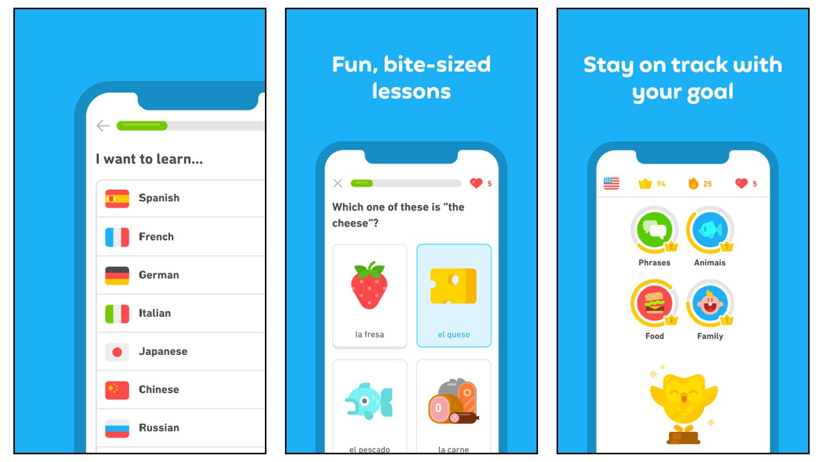 Sử dụng Duolingo để giúp bạn học các khóa học ngôn ngữ của mình, với các bài học ngắn và trợ giúp từ vựng