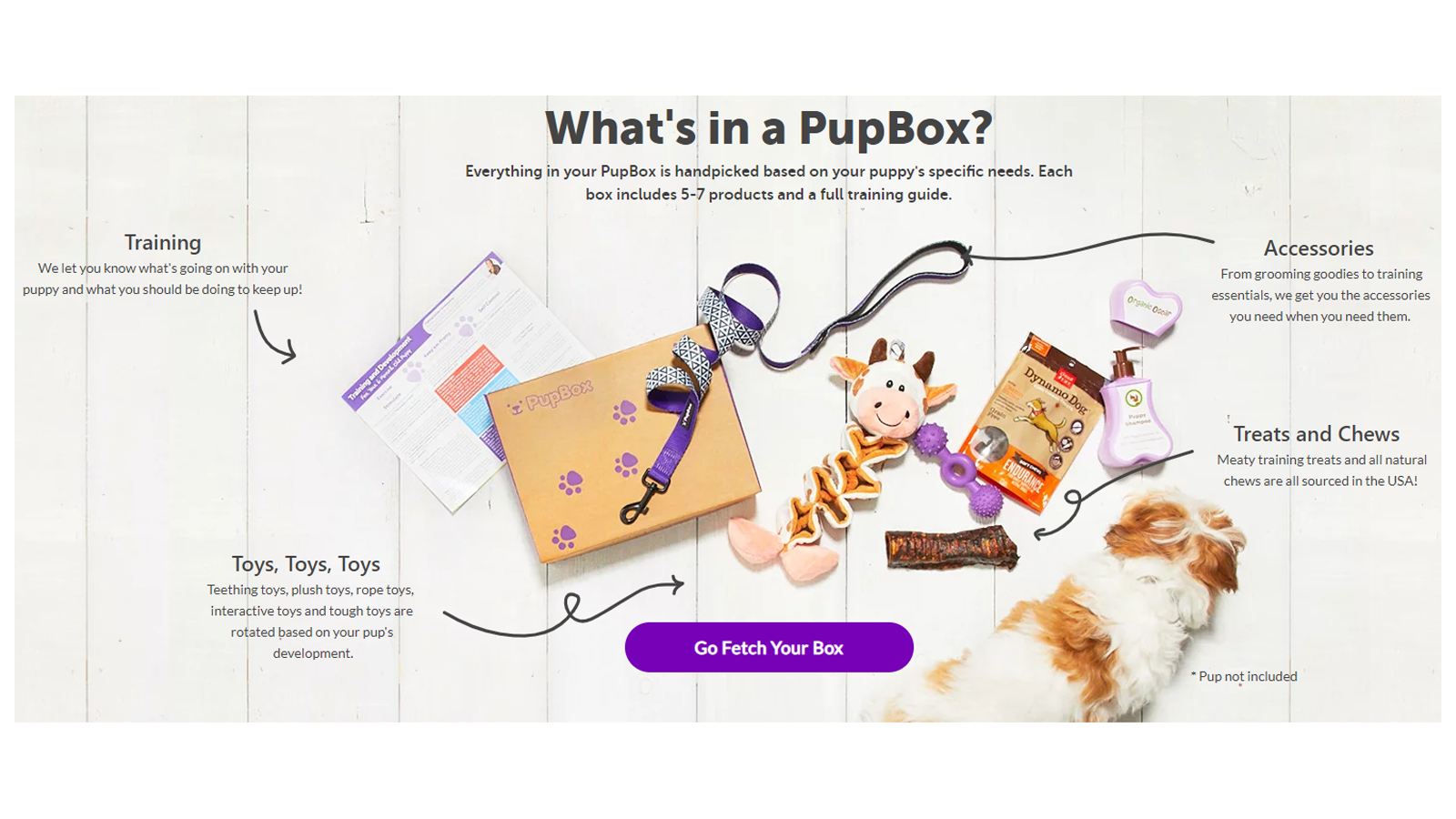 Den bästa PupBox-prenumerationsboxen för valpar