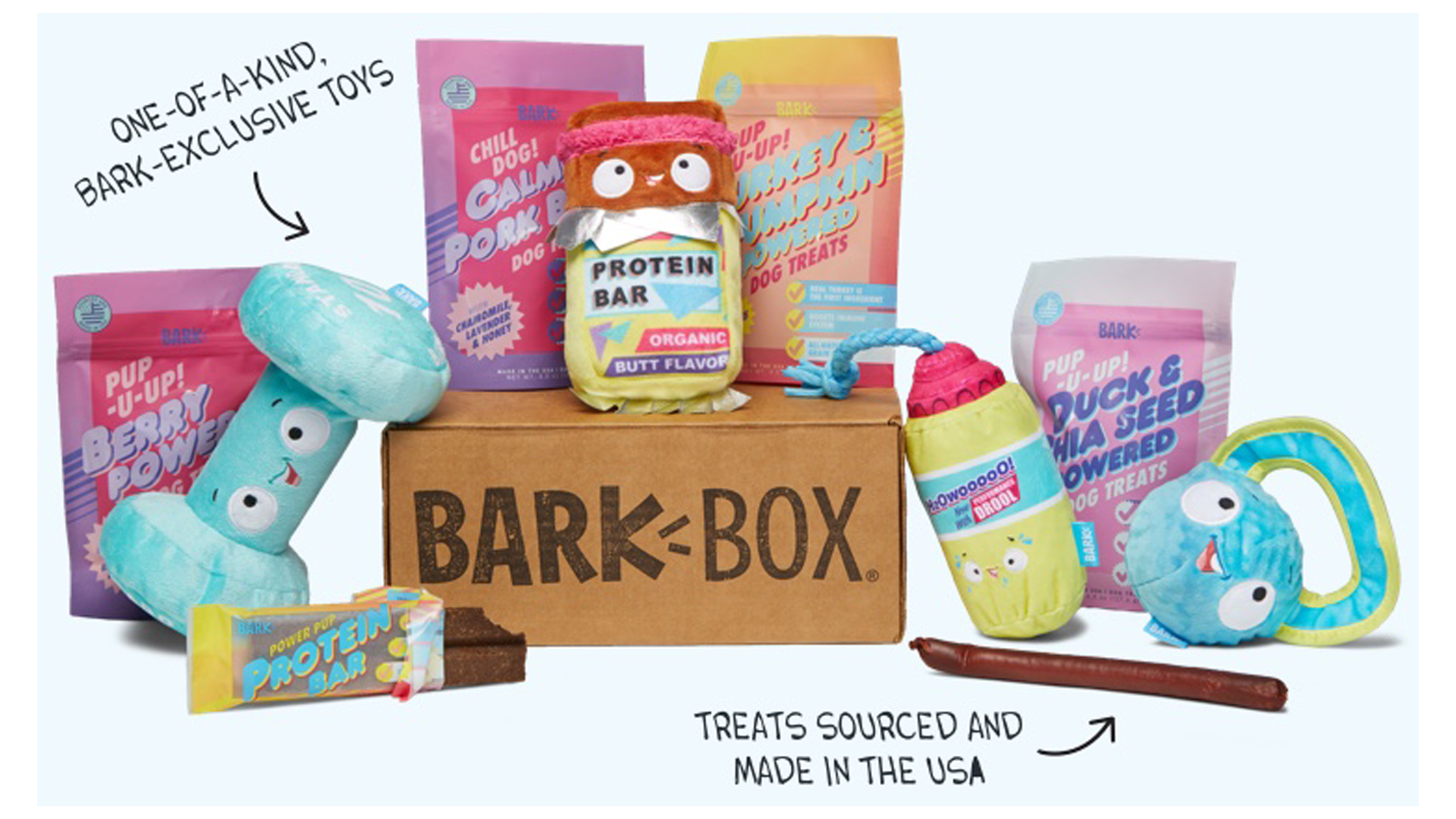 Månadsprenumerationsbox för hund med tema BarkBox