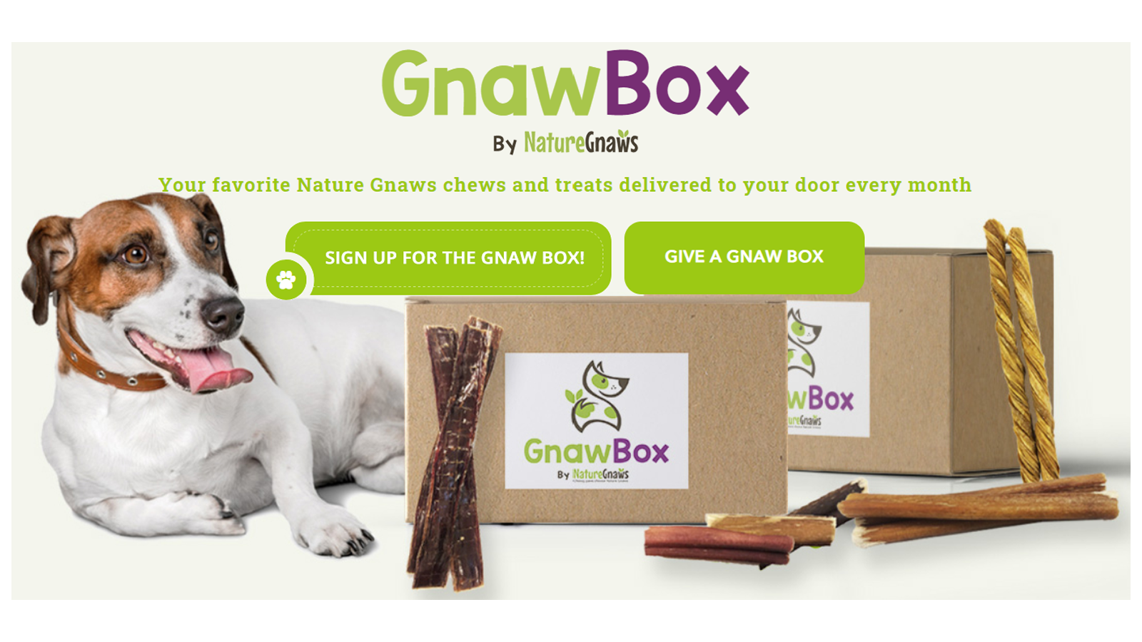 Hộp đăng ký tốt nhất của GnawBox dành cho đồ ăn vặt và nhai của chó tự nhiên
