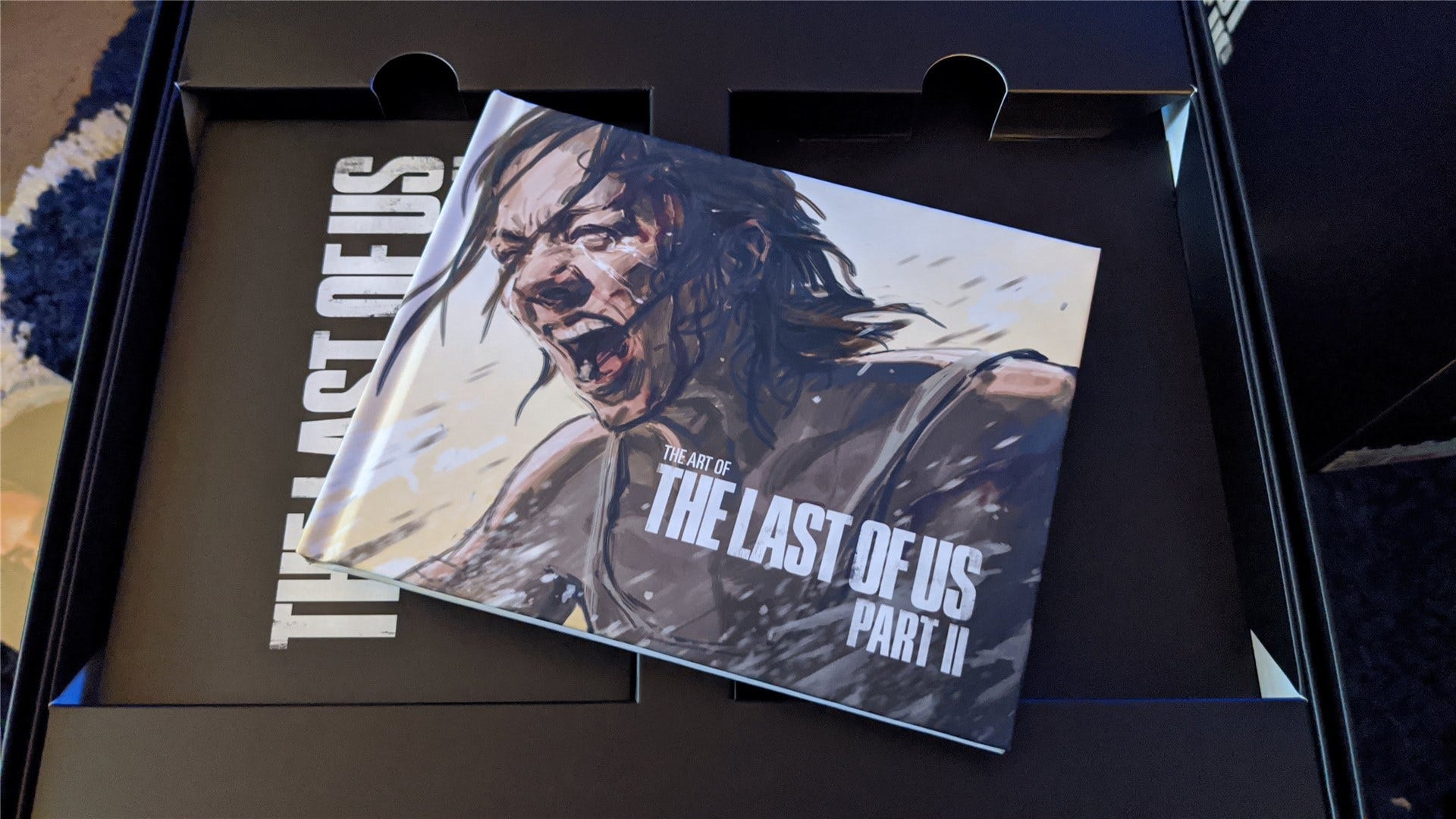 The Last of Us Del II Collector's Edition häftekonst
