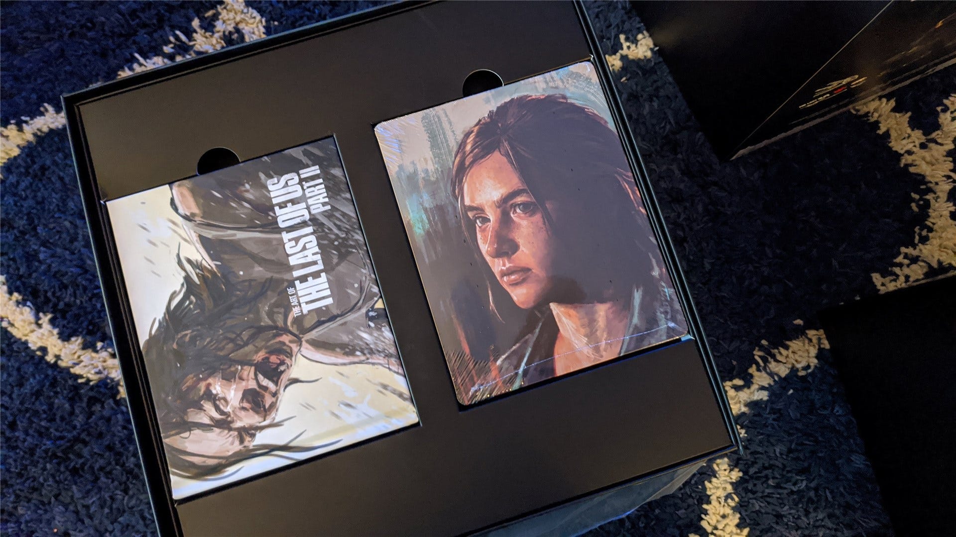 Cuốn sách nghệ thuật nhỏ The Last of Us Part II Collector's Edition và SteelCase