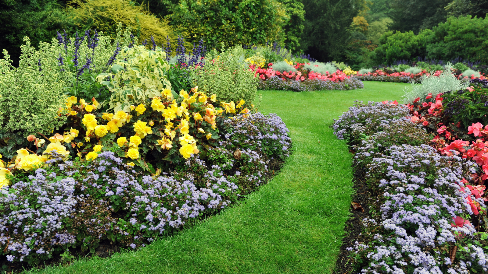 DIY Taman berwarna-warni, halaman rumput yang rimbun, halaman belakang halaman belakang pribadi, Jalur rumput Inggris, Taman formal