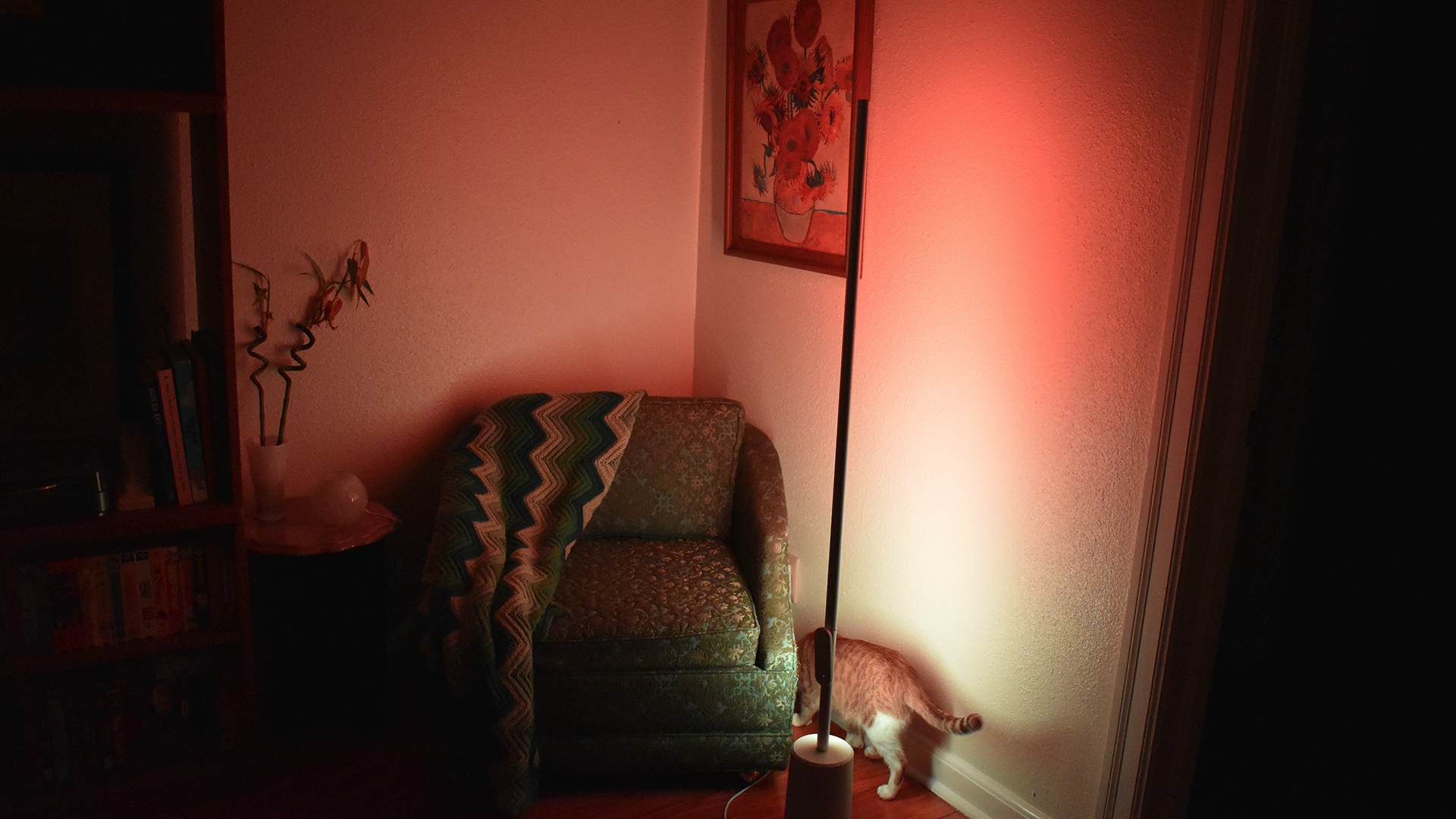 Lyra-lampan lyser blått och rött ljus.
