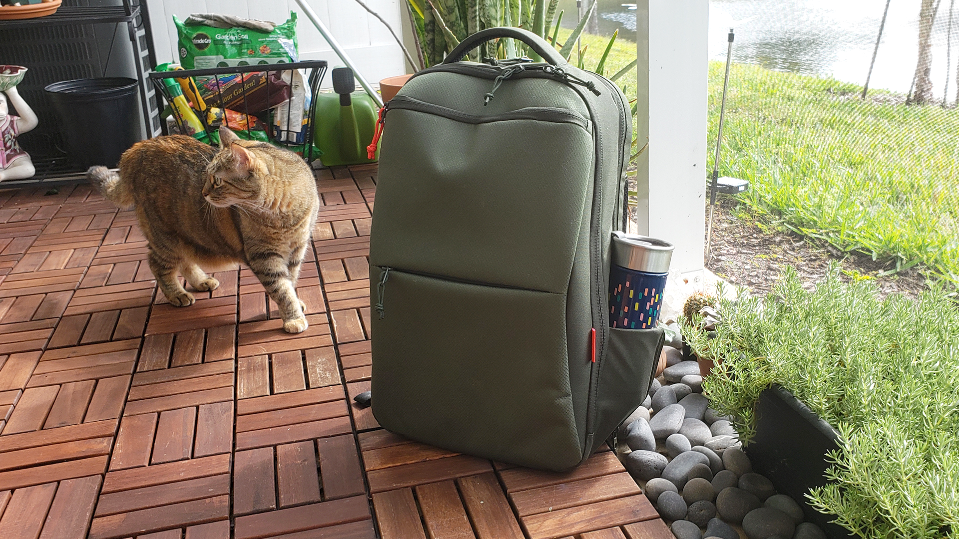 Ett foto på Eco Pro-väskan och min katt.