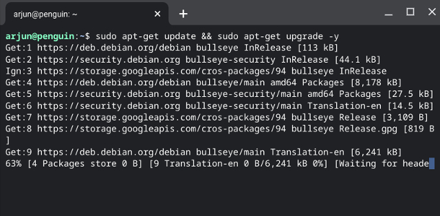Memperbarui Linux di Chromebook ke Debian Bullseye