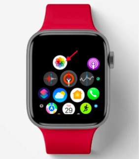 Öppna appen Foton på Apple Watch