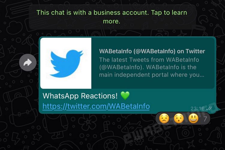 Detta är din första titt på WhatsApp-meddelandesvar