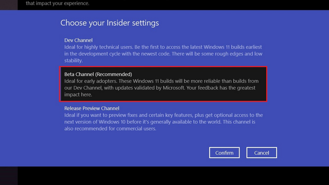 välj intern kanal - Installera Windows 11 Beta