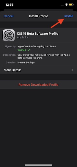 Tryck på Installera - Ladda ner och installera iOS 15 Beta