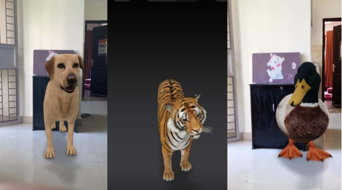 Tigre 3D utan Google vira celebridade e todos o querem ver!