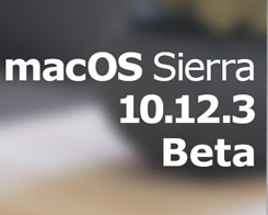 Apple MacOS Sierra 10.12.3 Beta 3 Seeds för utvecklare