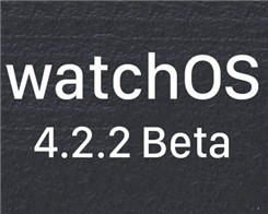 WatchOS 4.2.2 Fourth Apple Seeds Beta för utvecklare