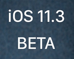 Apple Seeds iOS 11.3 fjärde beta för utvecklare