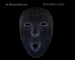 Så här ser iPhone X:s Face ID ditt ansikte