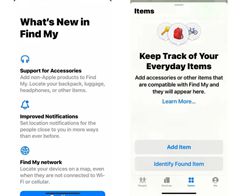Hitta Mina tilläggsfliken “Items” i senaste iOS 14.5 Beta