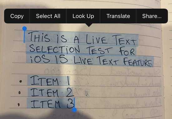 Live Text-funktion i iOS 15: Så här fungerar det