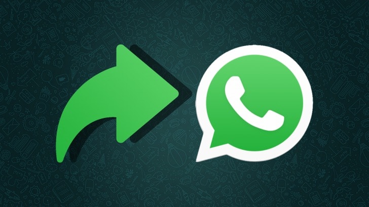 WhatsApp: novidade traz backup enscriptados e com lösenord!