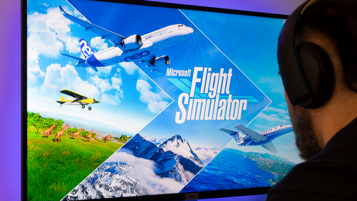 Người chơi Microsoft Flight Simulator