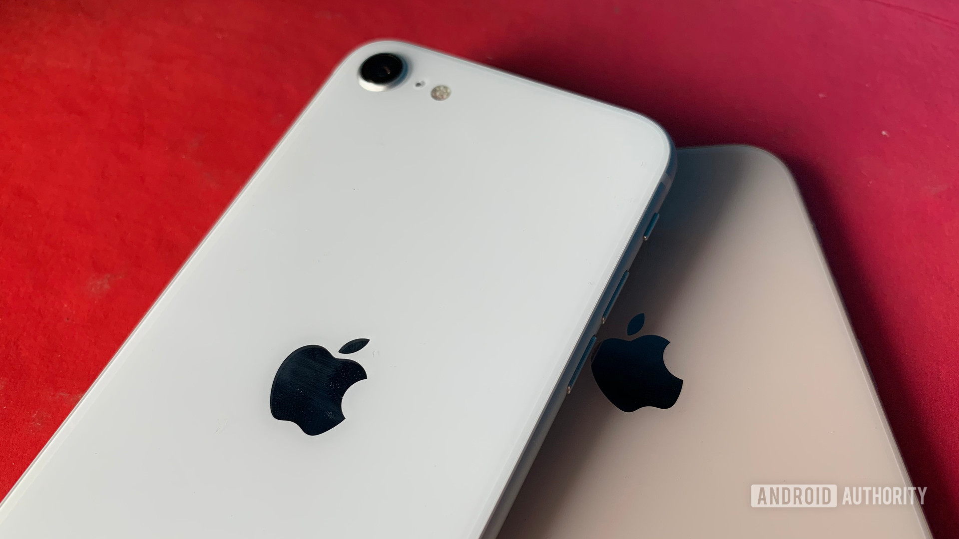 iPhone SE (2020) vs iPhone 8: Battle of the budget iPhones
