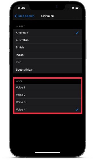 Cách sử dụng giọng nói Siri mới trong iOS 14.5 trên iPhone và iPad
