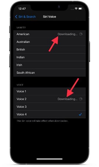 tải xuống Siri Voice mới trên iOS và iPadOS