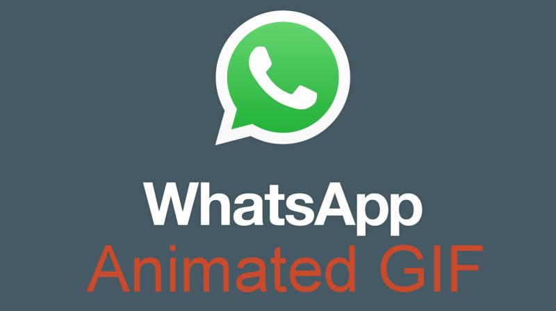 WhatsApp had rolled out the animated GIF feature for beta testers for a short while.