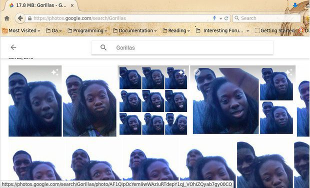 Google's photo app algorithm erratically tagged black people as 'Gorillas'