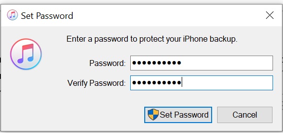 Ange nu ett lösenord för att skydda din lokala iPhone-säkerhetskopia