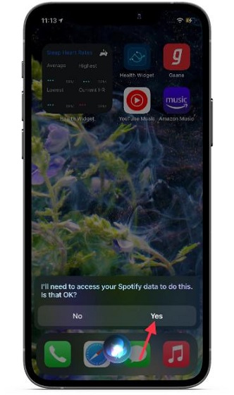 Cho phép Spotify truy cập dữ liệu của bạn